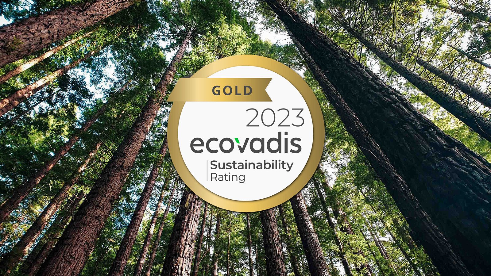 DCS Achieves Gold EcoVadis Medal for Outstanding Sustainability Achievements