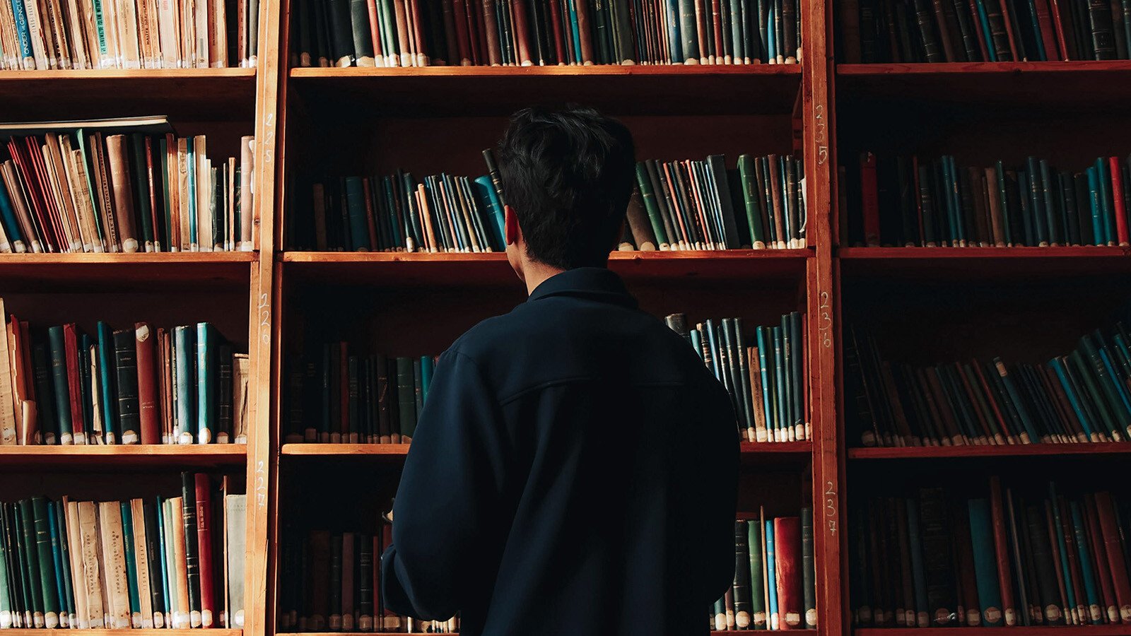 Person standing in front of a shelf of books in the library. 