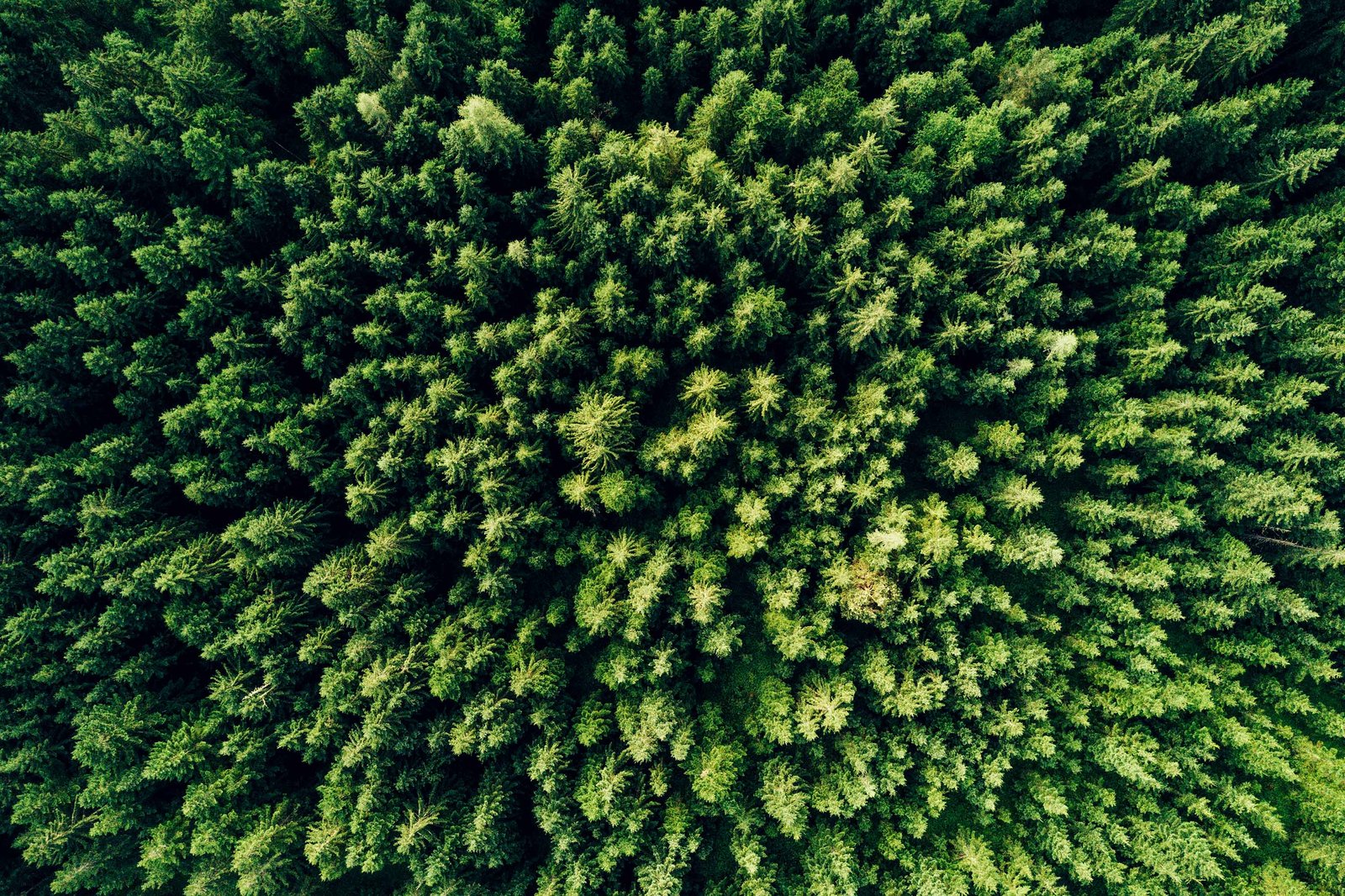 Sustainable Data Center Infrastructure: Reducing the Carbon Footprint of Hardware