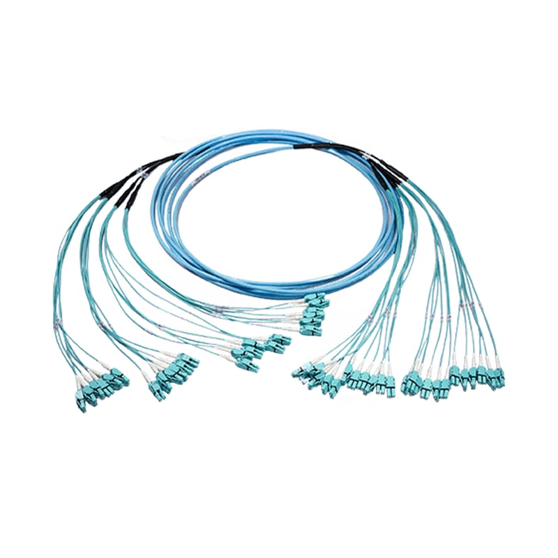 Multifiber Switch Trunk